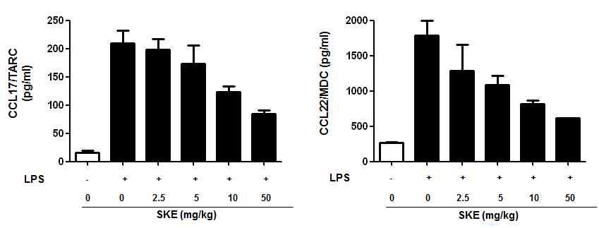 노각나무 추출물에 의한 CCL17 및 CCL22 발현 억제