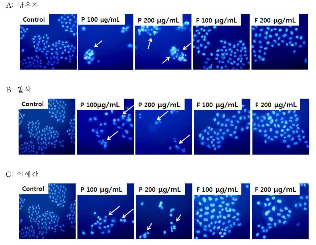 Effect of Jeju traditional immature citrus super critical extract on cell morphology