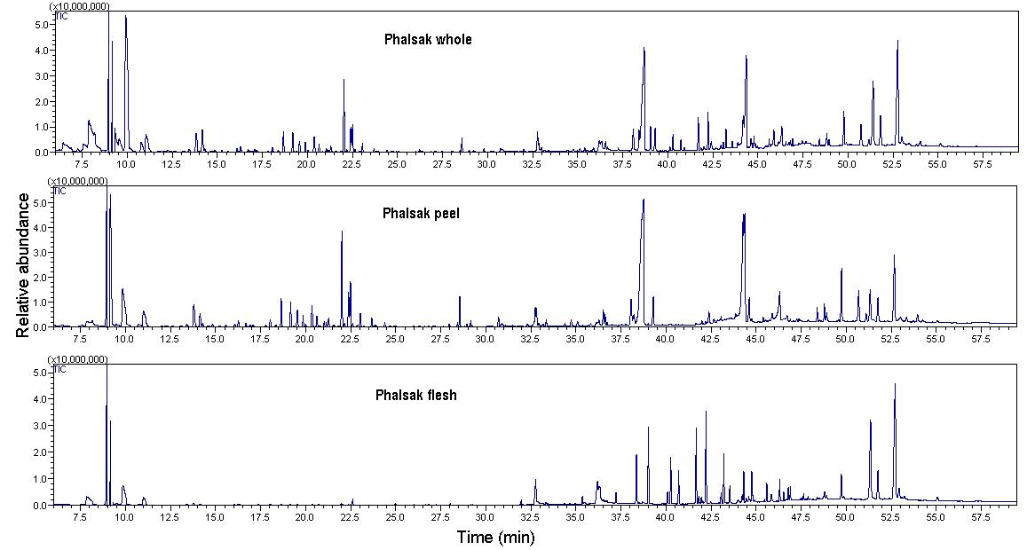 GC-MS chromatogram of supercritical extract of immature Phalsak varieties from Jeju, Korea
