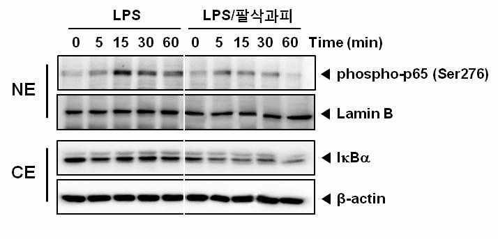 Suppression of LPS‐induced NF-κB activity by fraction from Citrus hassaku pericarp in RAW 264.7 macrophages