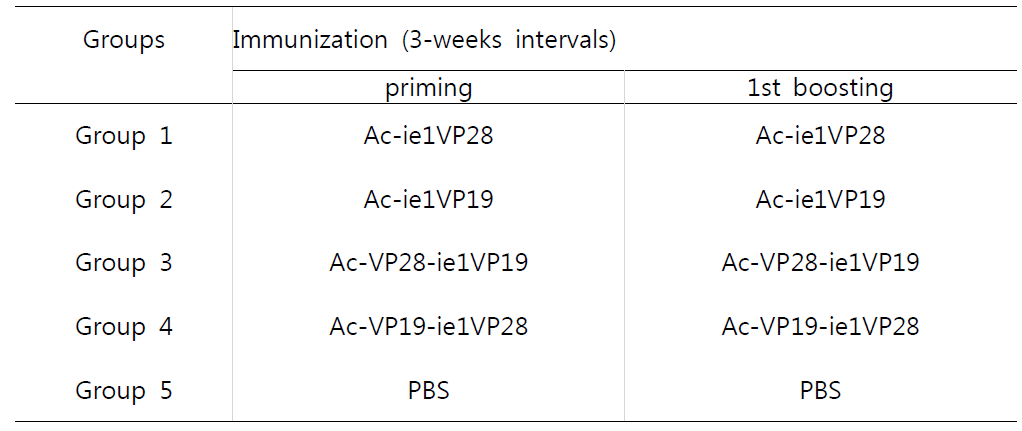 Immunization schedules. Mice(each n=8,Group7isn=12) were immunized two times at 3-week intervals with Ac-ie1VP28 or Ac-ie1VP19 or Ac-VP28 ie1VP19 or Ac-VP19-ie1VP28at a dose of 107 FFU per mouse,by intramuscular routes