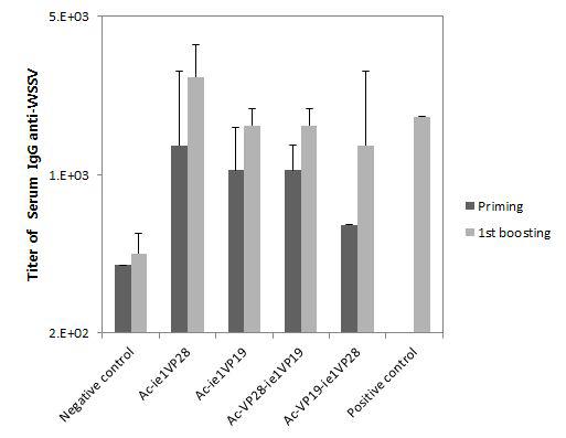 Titers of antibodies specific for WSSV VP28 or VP19 in mouse sera.