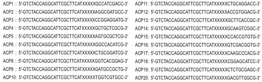 Arbitrary ACPs for Gene fishing PCR