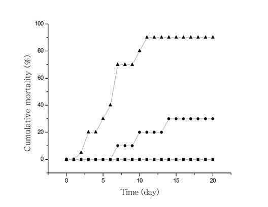 The cumulative mortality (%) of M. nipponense after infection of WSSV by three inoculation methods.