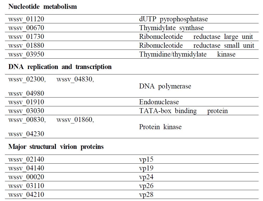 Major ORFs encoded by WSSV-KR grouped by function