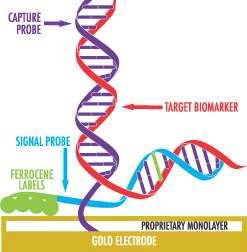 Osmetech사가 상용화 한 전기적 측정 방식의 DNA 센서