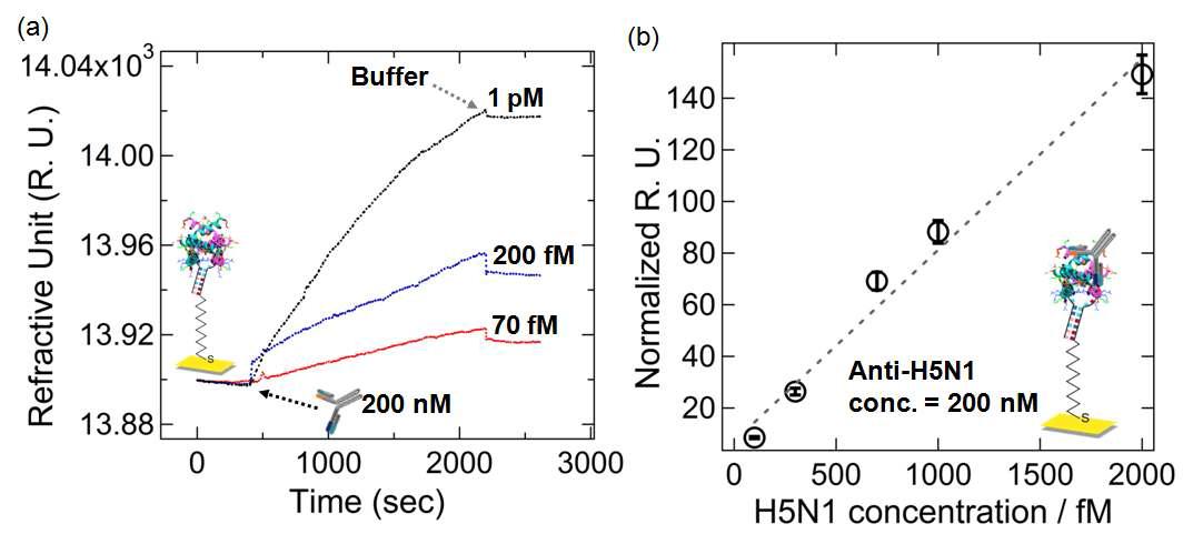H5N1 앱타머 칩에 H5N1 단백질과 200 nM H5N1 항체를 흘려주어 샌드위치 복합체를 형성하는 분석법을 이용하여 (a)SPR로 서로 다른 농도의 H5N1을 검출한 실시간 측정결과와 (b)H5N1 농도 변화에 따른 검출신호의 정량적 분석데이터