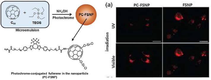 포토크로믹 물질을 붙인 풀러렌-실리카 나노입자의 개략도(왼쪽)와 나노입자를 이용한 세포이미징 사진(오른쪽)