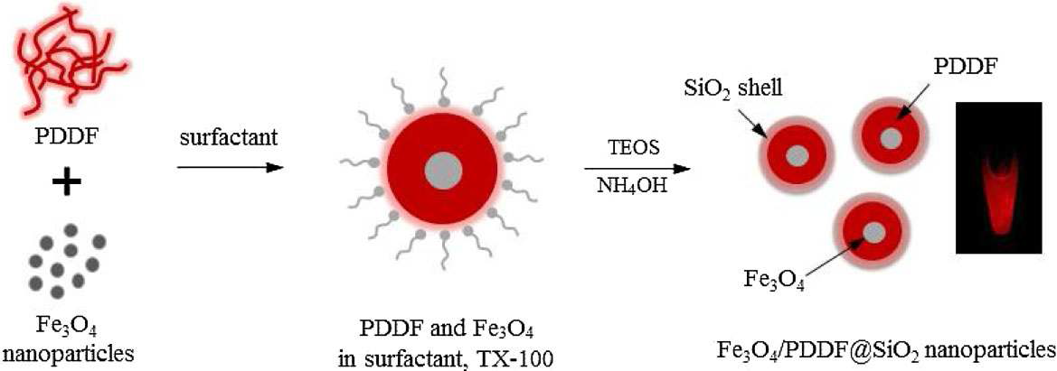 형광고분자(PDDF)와 산화철(Fe3O4)을 이용한 하이브리드 나노입자제조 방법