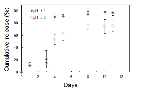 RA-PEI 기능성 나노입자의 약물의 방출을 시간과 다양한 pH 환경에 따른 결과
