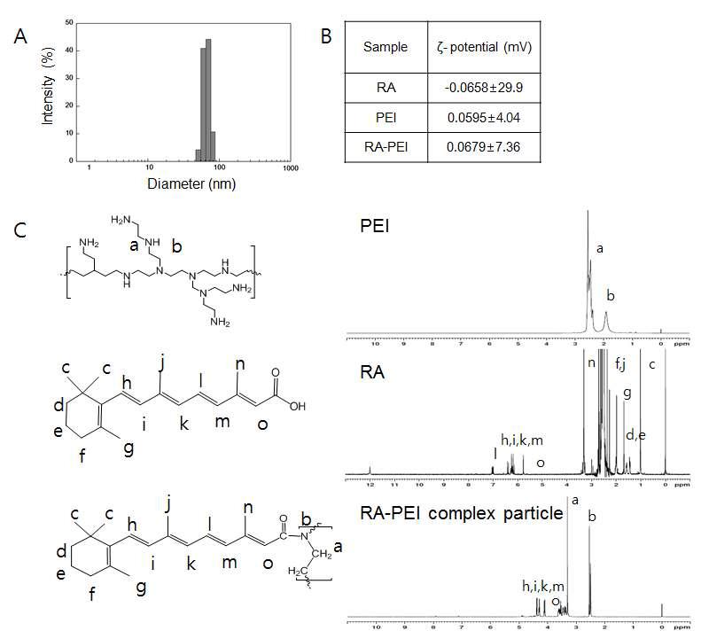 RA-PEI 고분자 나노입자의 물리적, 화학적, 생물학적 특성 평가