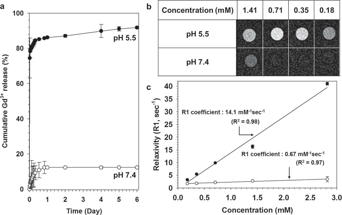 pH 감응형 조영제의 pH 조건에 따른 Gd 이온 방출 거동 및 솔루션 상에서의 MR 신호 비교