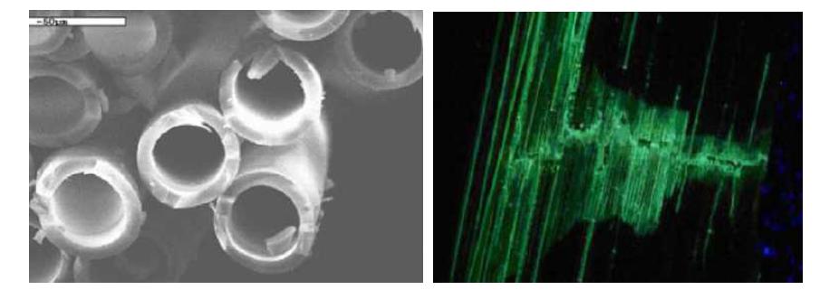 중공 원형 유리섬유 및 손상 Visual enhancement (White et al., 2001)