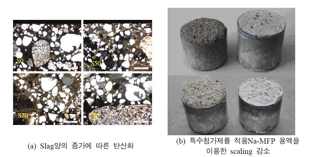 고로슬래그 다량 치환 콘크리트의 탄산화 및 scaling 특성