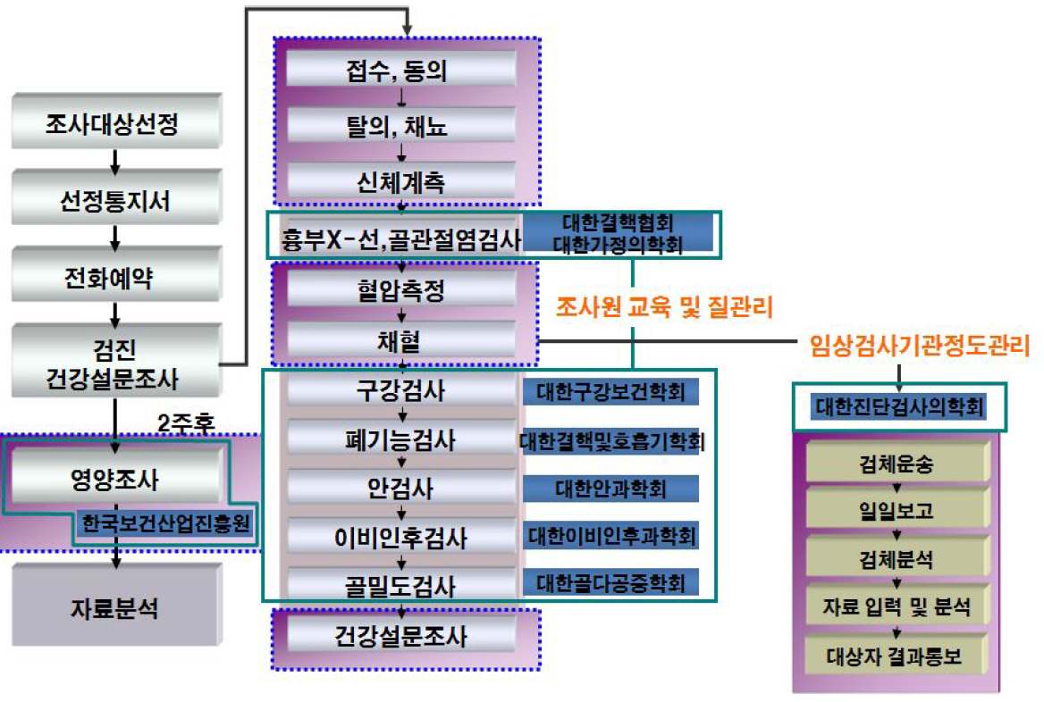 국민건강영양조사 조사수행 체계