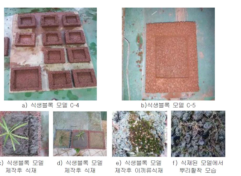 식생블록 모델별 식재 사진