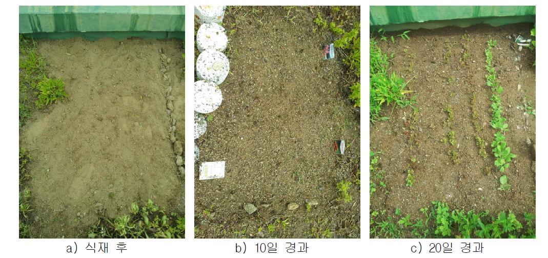 텃밭적용 실험 결과