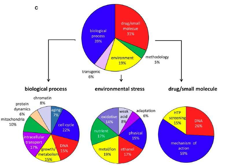 발아효모 결손 라이브러리를 이용한 논문들의 연구 분야별 분류(Giaever et al 2014)