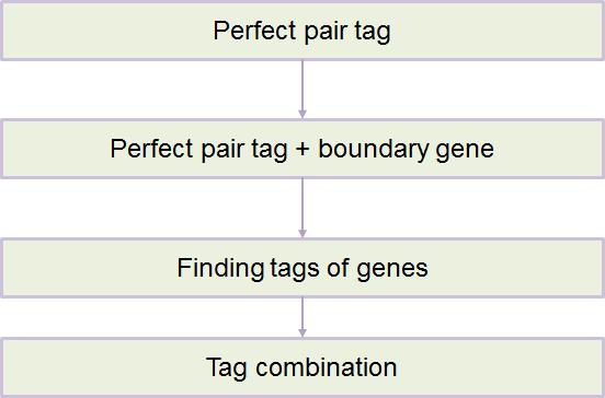 tag 서열 및 포함 유전자 확인 과정. 첫 번째, uptag, dntag 모두 기존 DB의 유전자 영역 내에 있을 항목을 추출한다. 두 번째, uptag나 dntag가 기존 DB의 유전자 영역 내에 완전히 포함되지 않고 겹쳐져 있는 항목을 추출한다. 세 번째, tag 마다 연관된 유전자 들의 수, 유전자마다 연관된 tag 수를 이용하여 가장 이상적인 tag-gene 쌍을 찾는다. 네 번째, 유전자에 match되어 있는 tag들을 이용하여 해당 유전자의 tag 서열을 조합한다.
