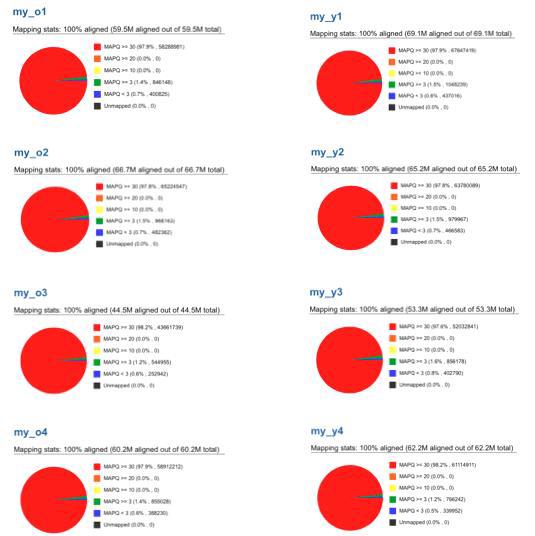 RNA-seq 매핑 결과