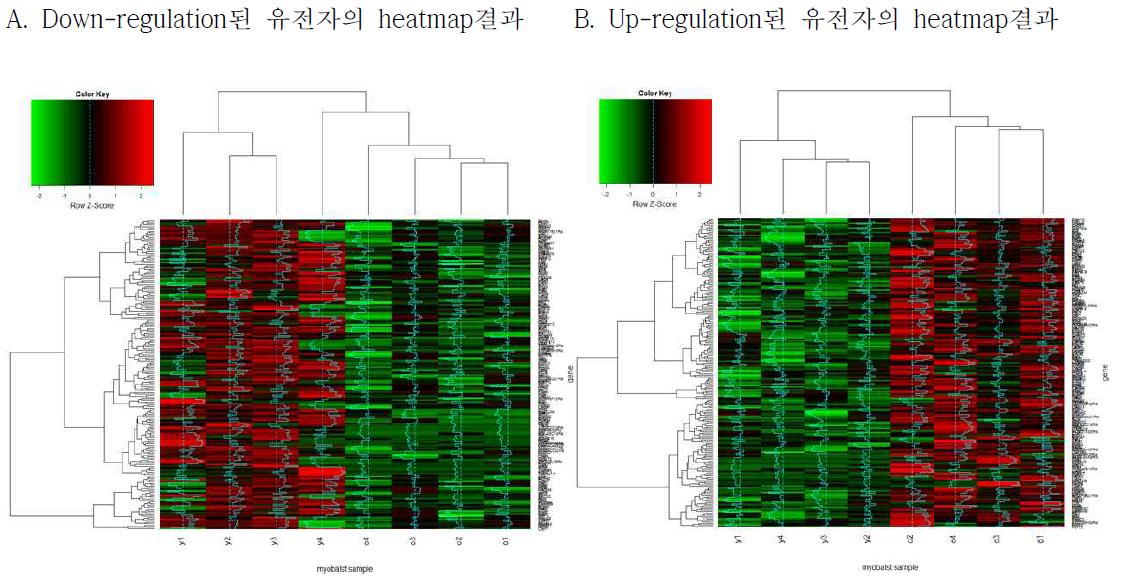 DEG (Differentially expressed gene)의 heatmap 결과