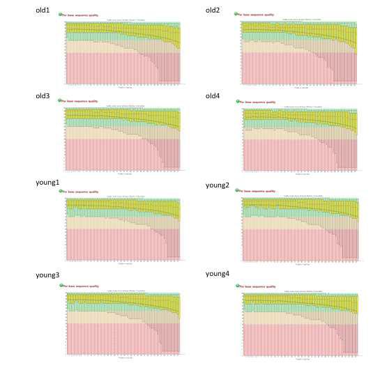 MBD-seq 시퀀싱 서열의 FastQC 결과