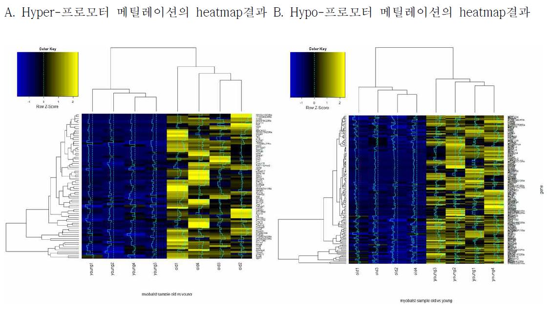 DMR 지역의 heatmap 결과