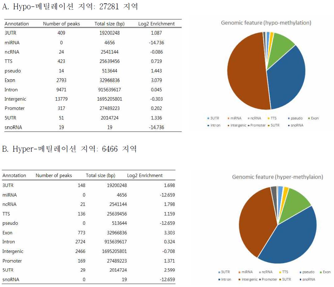 메틸레이션 변화를 보인 지역의 전체지놈에서 분포