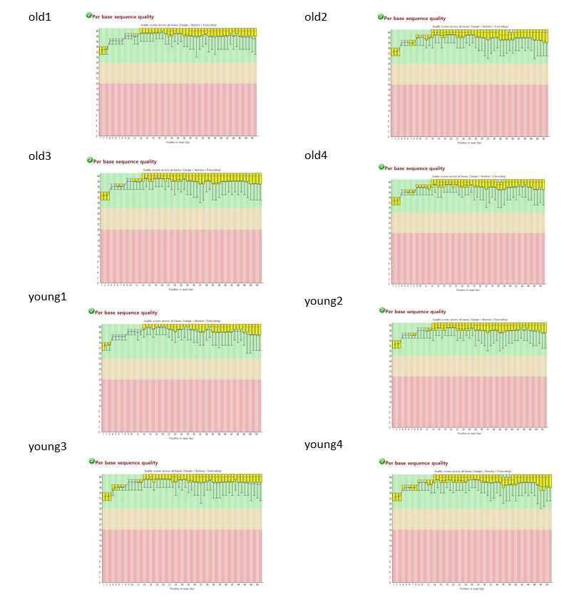 sRNA-seq 시퀀스 파일의 FastQC 결과