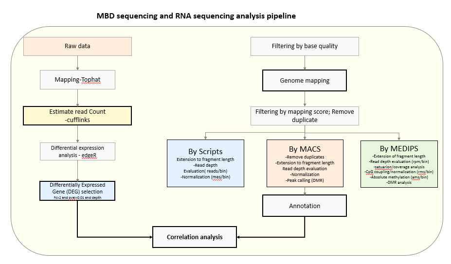 MBD-seq과 RNA-seq의 통합 분석 흐름도