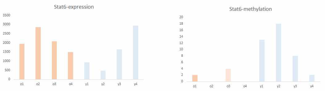 Stat6 유전자의 유전자 발현값과 프로모터 메틸레이션 값