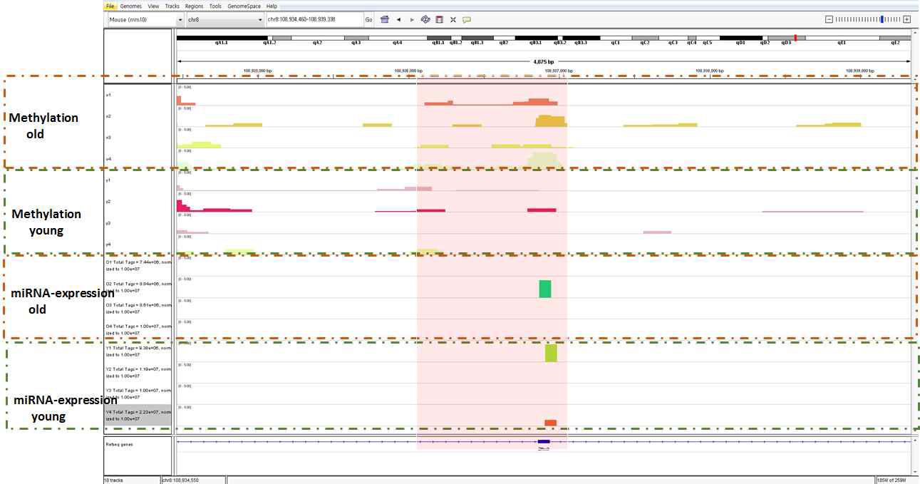 DNA methylation에 의해 조절되는 miRNA 후보군의 screenshot.