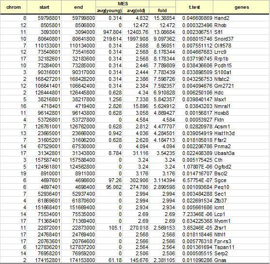 hypermethylated gene list (일부)