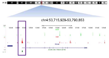 Fukutin gene의 genomic view