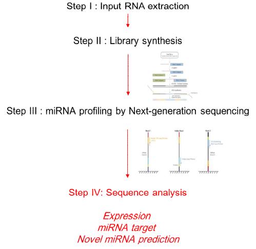 miRNA 발현 분석을 위한 workflow