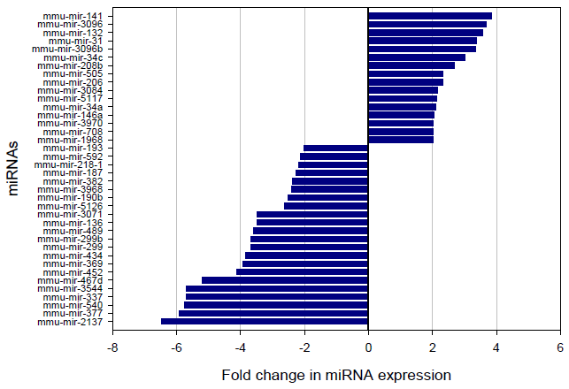 2배 이상 발현 차이가 나는 miRNAs