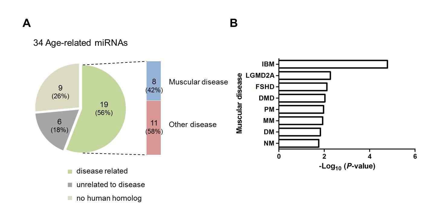 HMDD을 통한 노화에 따라 조절되는 miRNA의 근육질환 관련성 확인