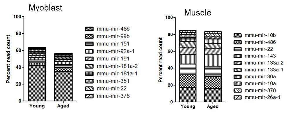 top10 miRNAs