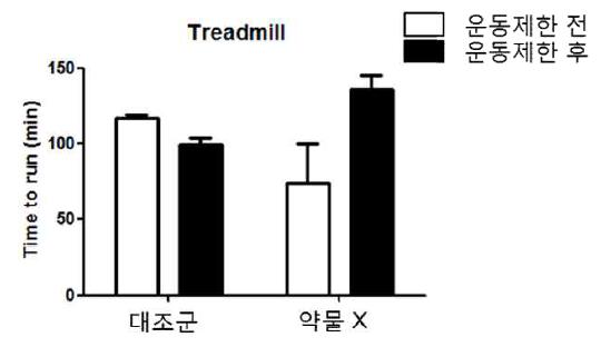 약물 X에 의해 향상된 마우스의 지구력 측정