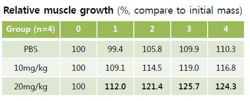 4주간 근육함량의 상대적 증가율