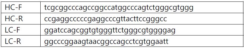 클로닝에 사용한 primer sequence