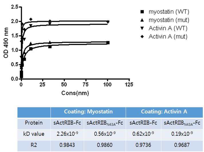 sActRIIBN43A의 myostatin과 activin에 대한 Kd vlaue 확인