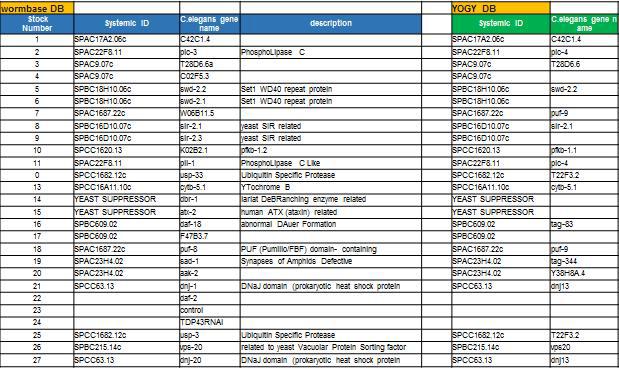 분열효모에서 발굴한 TDP-43 의 독성을 완화 시켜주는 suppressor 약 12종을 대상으로, C. elegans orthologous gene list