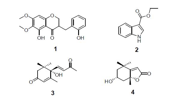 KRC-3로부터 분리된 4종의 화합물