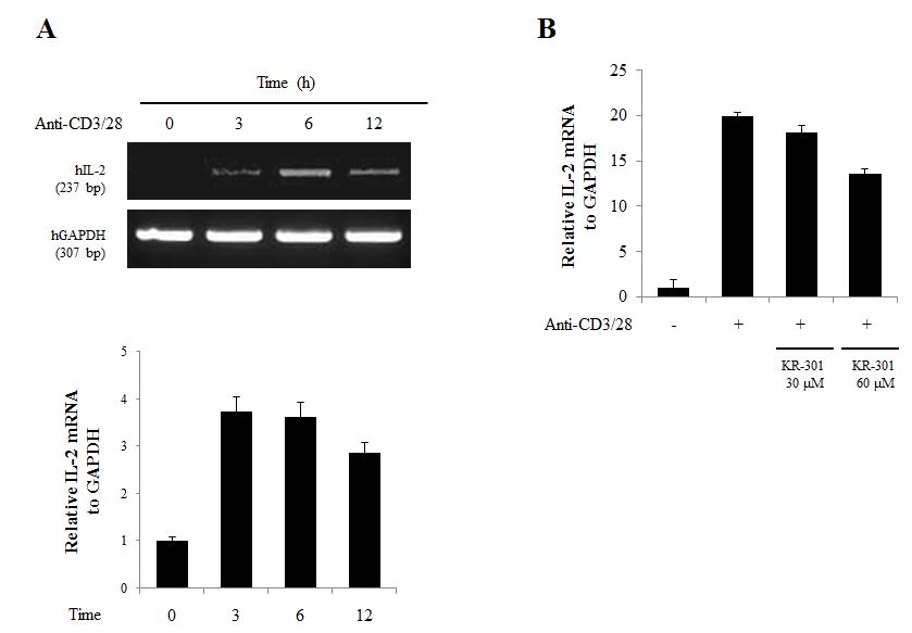 KR-301의 IL-2 사이토카인 mRNA 발현 억제효능