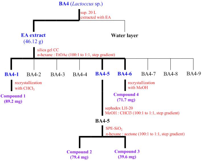 BA-4로부터 화합물 4종의 분리 정제 과정 (1차)