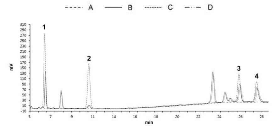 추출 및 분획물의 HPLC chromatogram