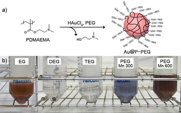 a) Synthesis of PEGylated gold nanoparticles by a one-step polyol process.
