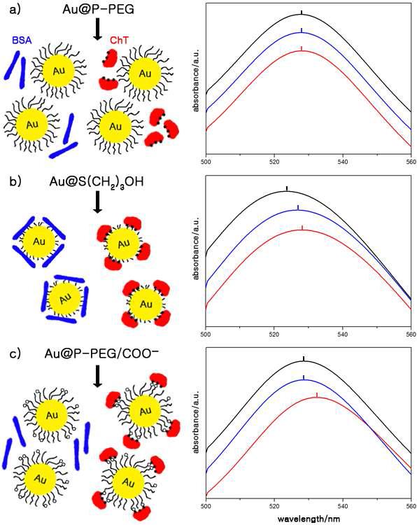 Schematic diagrams and surface plasmon band changes of a) Au@P-PEG, b) Au@S(CH2)3OH, and c) Au@P-PEG/COO- nanoparticles, as the reference (black line), and in the presence of BSA (blue line) and ChT (red line) in the 1×PBS solutions.
