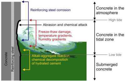 해수에 노출된 콘크리트의 위치별 성능저하 메커니즘